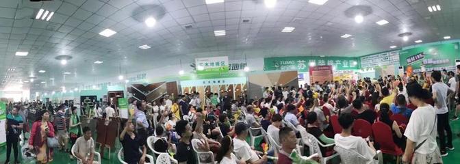 兔寶寶環(huán)保行7月29日蘇州站 綠色裝飾，感恩回饋